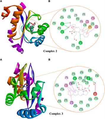 Synthesis, characterization, and biological activities of zinc(II), copper(II) and nickel(II) complexes of an aminoquinoline derivative